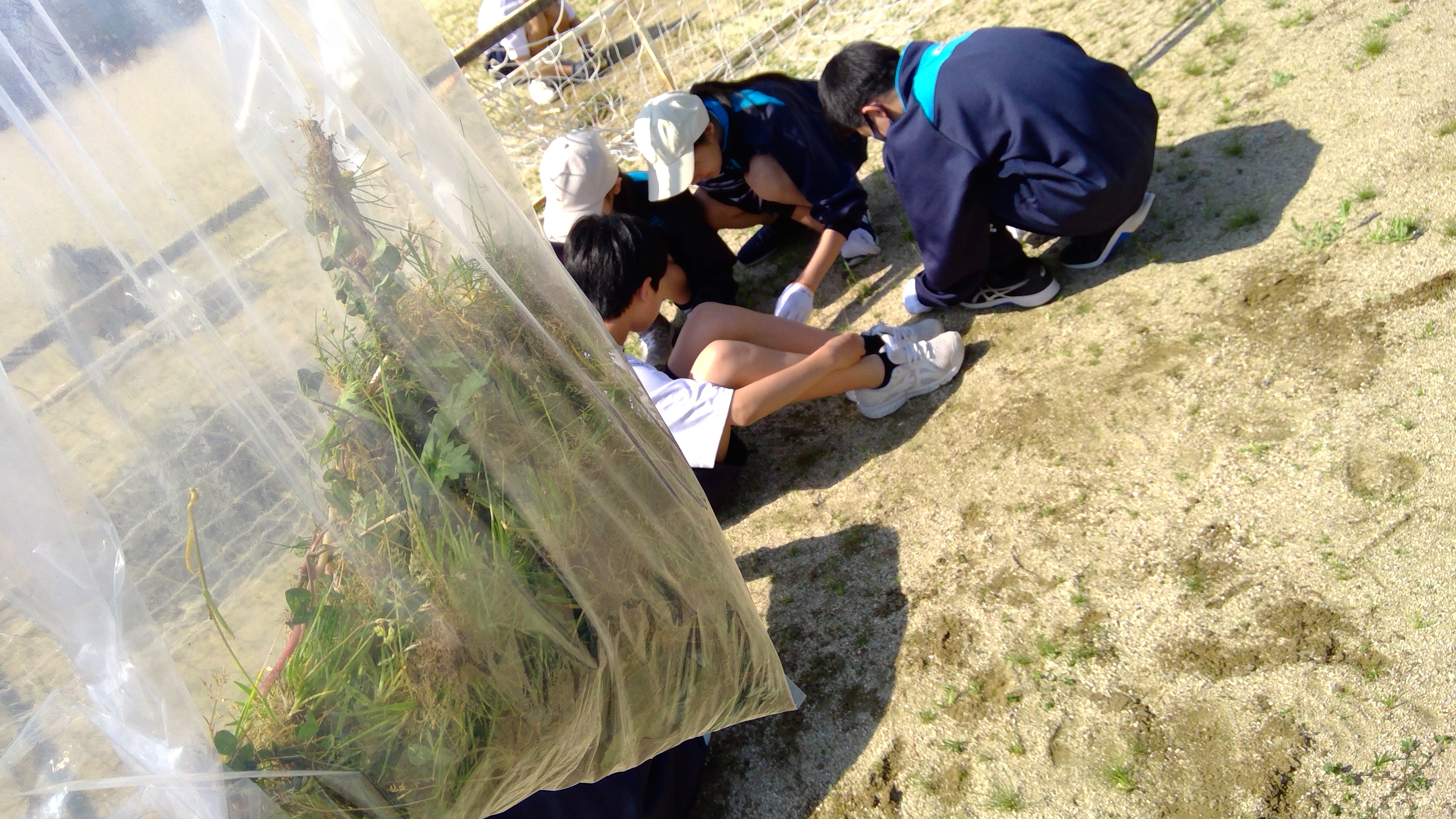 WIN_20250430_09_12_49_Pro