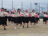 DSCF3533