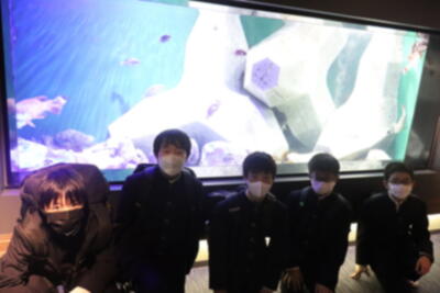 PtR3dsxgyQorbCB1699524901_1699524926