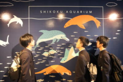 LErt6vblyVzFQwm1699523968_1699524124